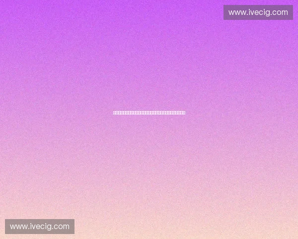 大型综合体育赛事执行手册与运营管理全流程指引及风险管控指南