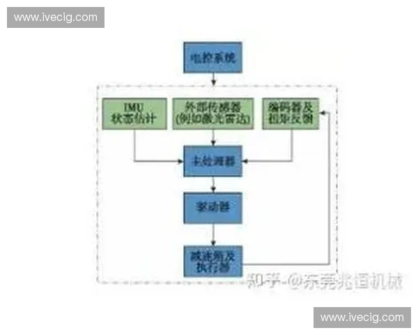 运动视觉系统在运动控制与环境感知中的作用机制研究